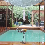 Les 2 Droles D'oiseaux