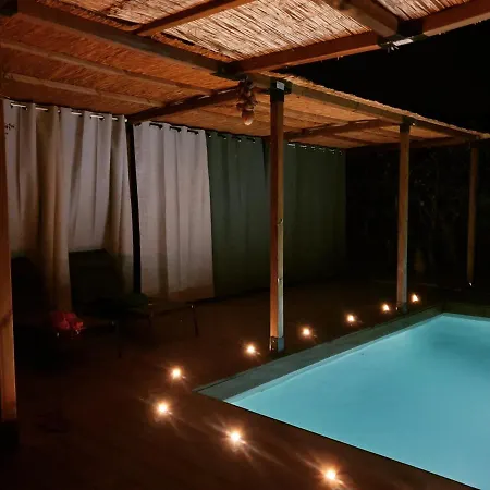 Les 2 Droles D'oiseaux *