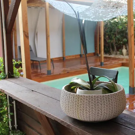 לינה וארוחת בוקר Les 2 Droles D'oiseaux Luc-sur-Orbieu