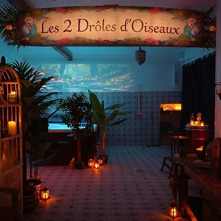 Les 2 Droles D'oiseaux *