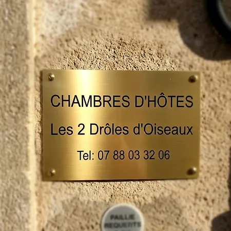 Les 2 Droles D'oiseaux Bed & Breakfast Luc-sur-Orbieu